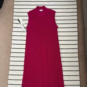 Aritzia Babaton Aesthetica Dress in Pink